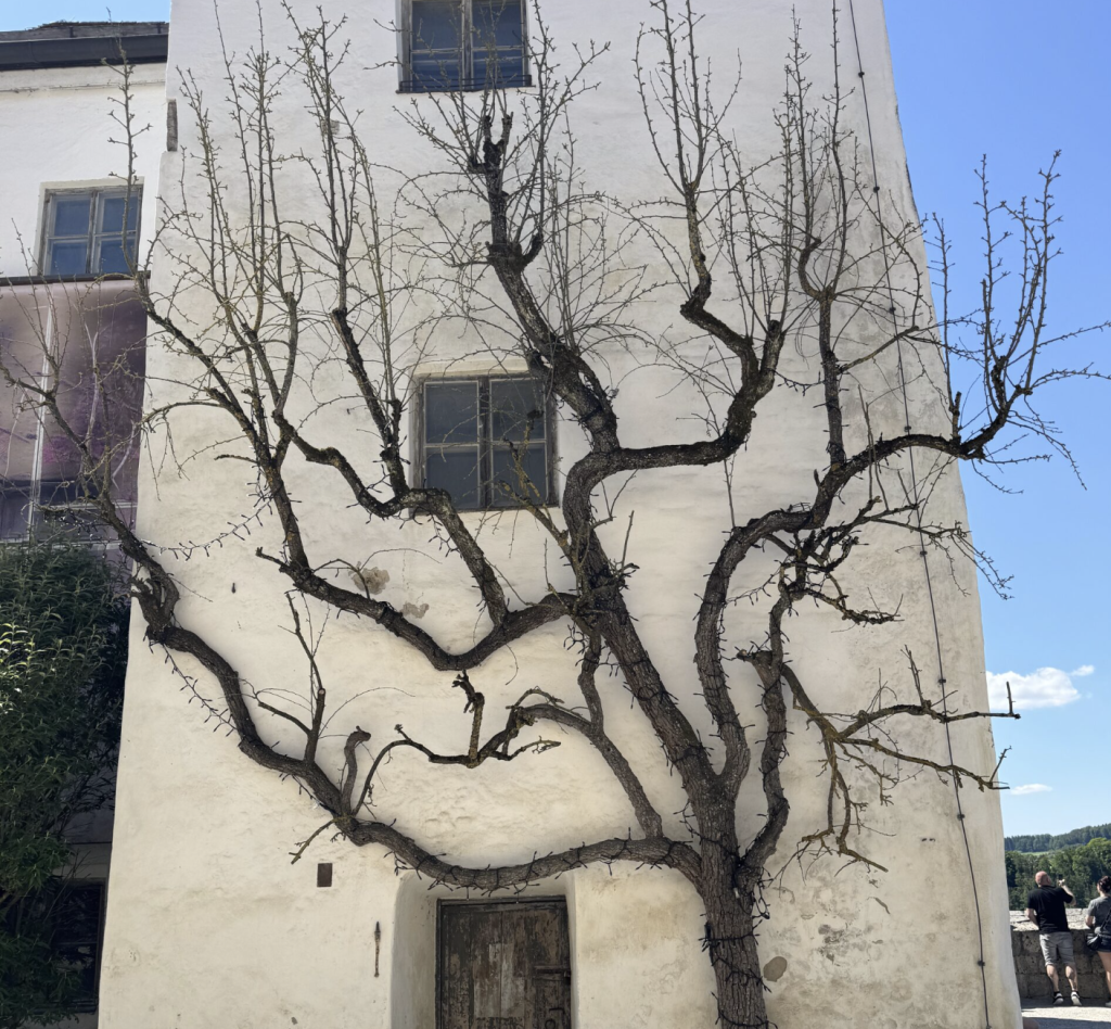 Screenshot 2025-09-03 at 10.27.44 AM